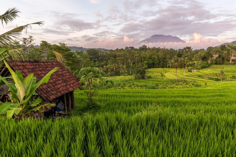Bali- (172) – Sidemen Rice Field